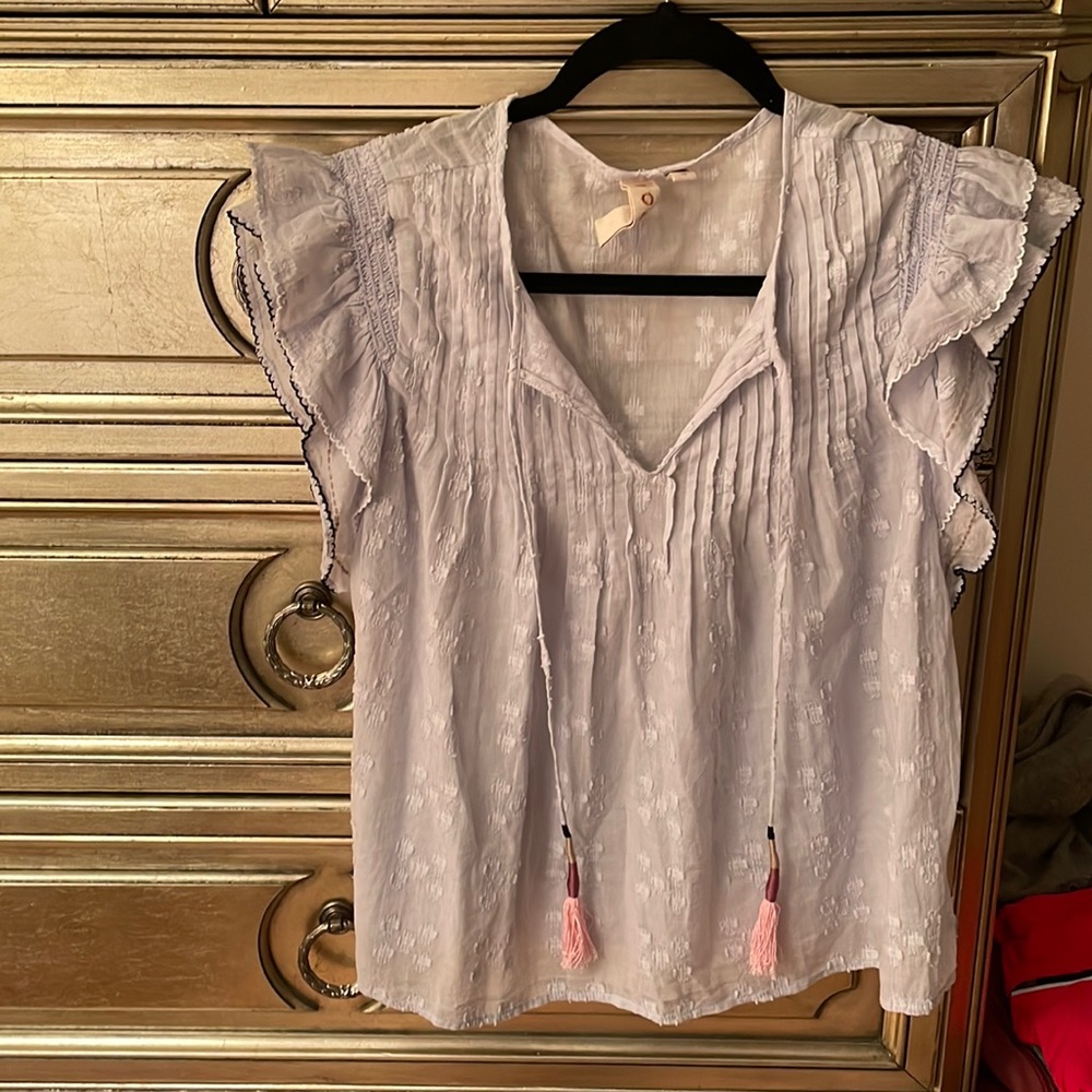 Anthropologie Dolan light blue ruffle blouse